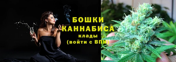 стаф Богородск