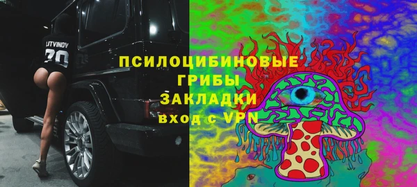 стаф Богородск