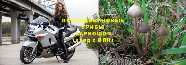 мяу мяу мука Богданович