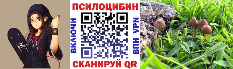 Галлюциногенные грибы MAGIC MUSHROOMS Крым